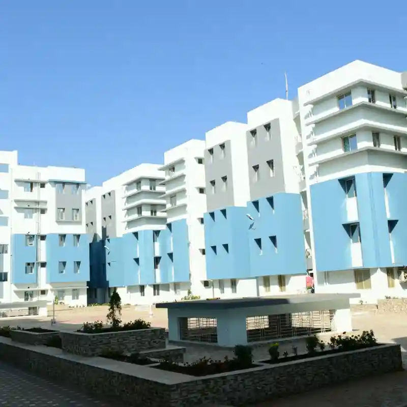 Portfolio image